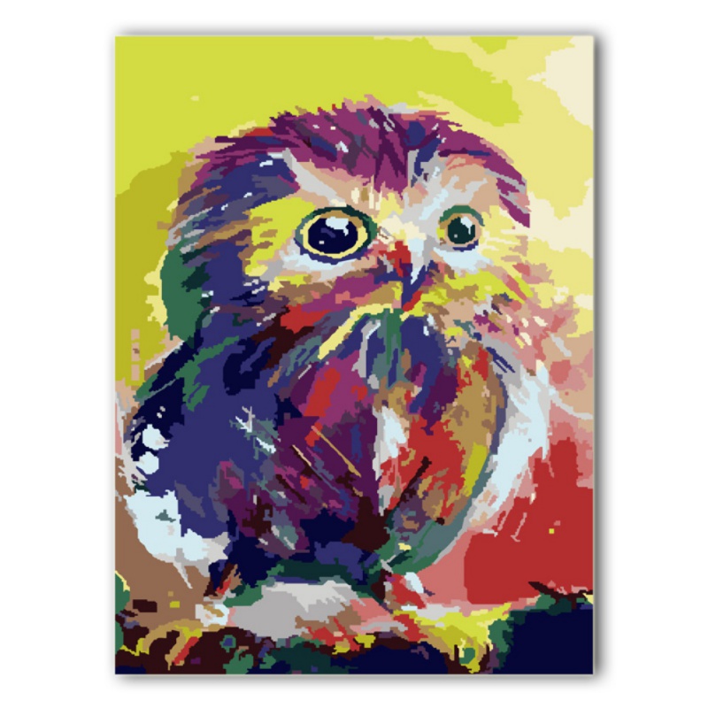 Acrylic Paint By Number On Canvas Framed DIY KIT 16x12inch tiger eBay